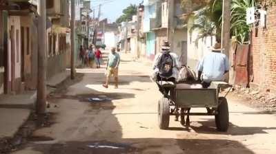 Meet the Farmers and Workers Running for Cuba’s National Assembly