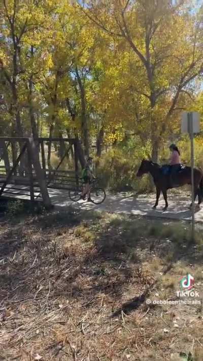 Cyclist Karen vs Equestrian 