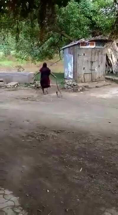 Old lady India yeets a cobra that wandered into her home