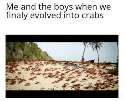 embrace crab