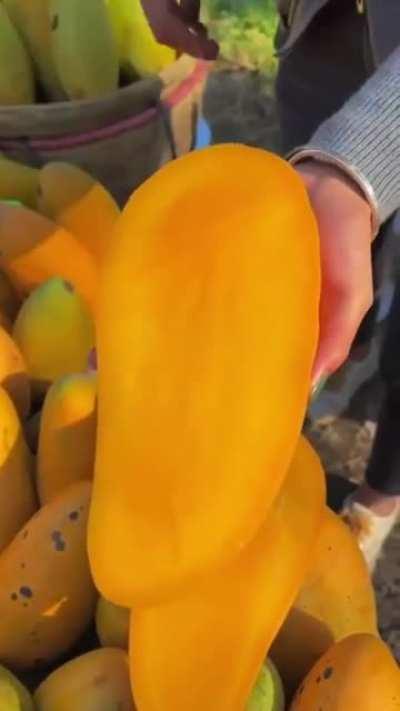 Mango with no seed