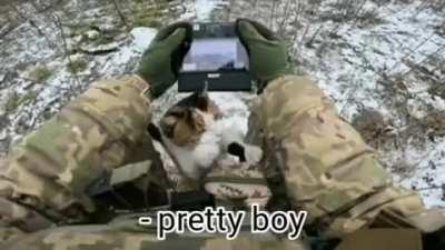 Cat climbs on a Ukrainian soldier operating a drone