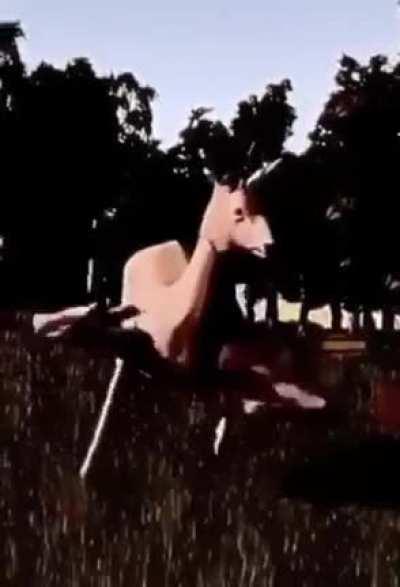 Cursed_dancing deer