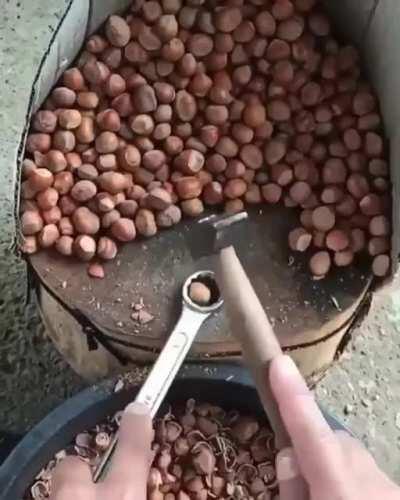 Cracking hazelnuts with a wrench