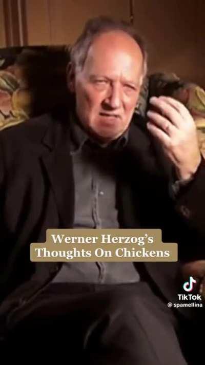 Werner Herzog’s thoughts on Chickens