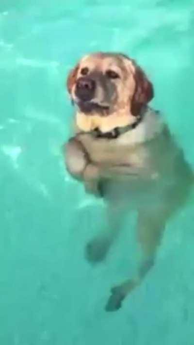 He realized he could stand in the pool.