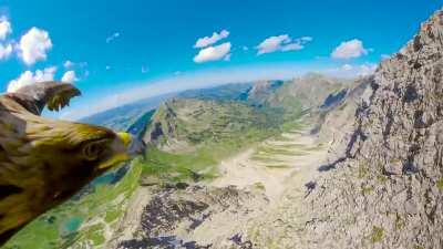 🔥 Breathtaking- Eagle flying over the Alps