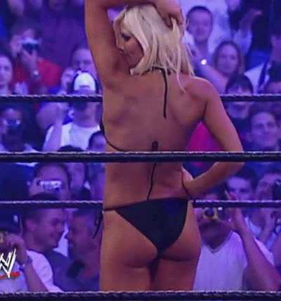 Torrie Wilson 