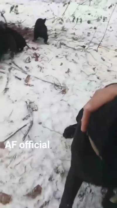 Ukrainian soldier pets the unit's puppies and their happy mother in the snow.