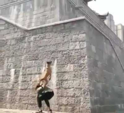 Parkour Pupper