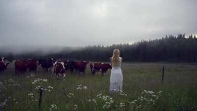 Kulning or herding calls is a domestic Scandinavian music form, often used to call livestock (cows, goats, etc.) down from high mountain pastures where they have been grazing during the day