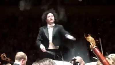 what i imagine conductors do in orchestras.