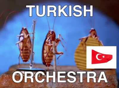 turkish orchestra 🇹🇷