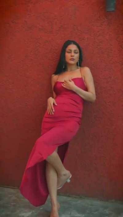 Shehnaz Kaur Gill Sensual Avatar will make you Hard