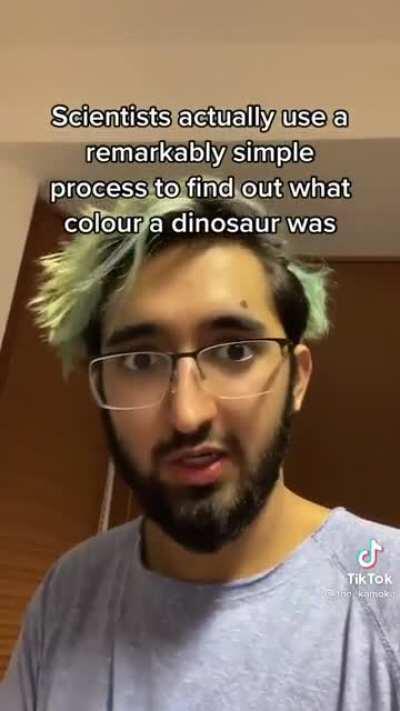 How to find out colour of dinosaurs