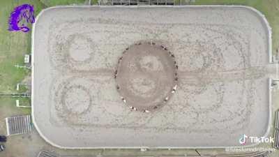 This delicious overhead view of a drill team freestyle ride