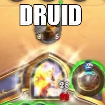 druid in wild