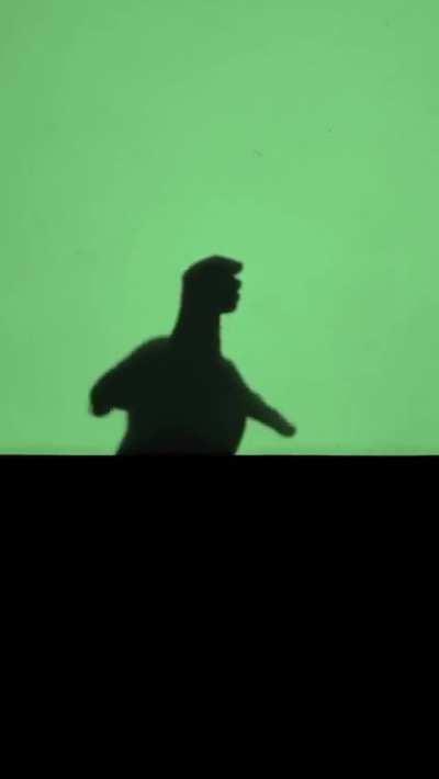 This guy's shadow dancing skills using his hands.