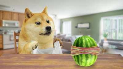 Doge explodes a melon