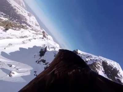 Footage from an eagle with a GoPro attached to it