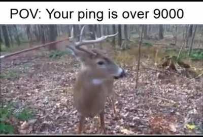 ping