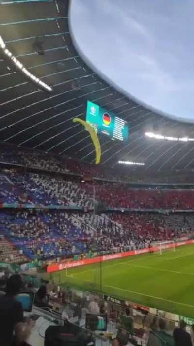 Parachuting protestor comes within inches of crashing into stadium