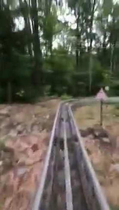 Man and child laughing together on roller coaster