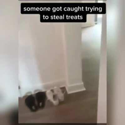 Got caught stealing