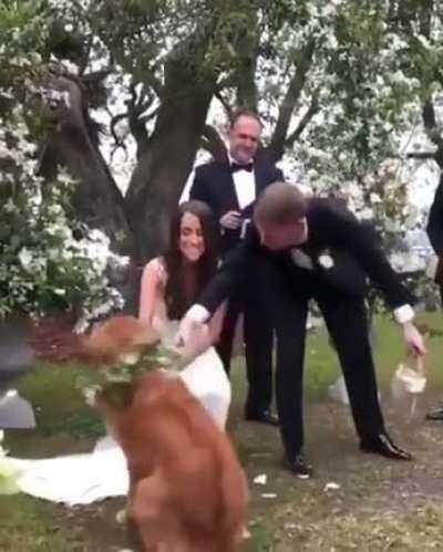 That's how you wedding