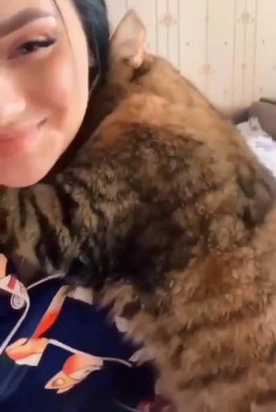 Kitty wanting to hug