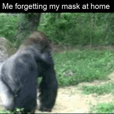 Cannot go out without a mask...nope..never!