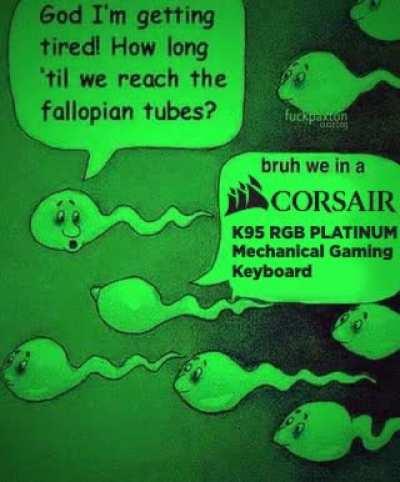 Fallopian tubes?
