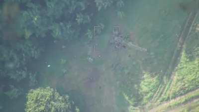 Two Russian kamikaze drones fail to hit a Ukrainian 155-mm howitzer M777. Unfortunately one of the drones ignites the ammunition under the trees. Kursk region - August 2024