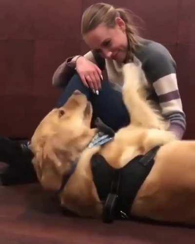 This is an emotional support dog practicing being there for their owner: