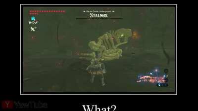 [BoTW] Stalnox does what's called a pro-gamer move