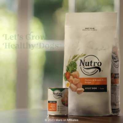 NUTRO™ recipes are made with high-quality, natural ingredients to help grow happy, healthy dogs.