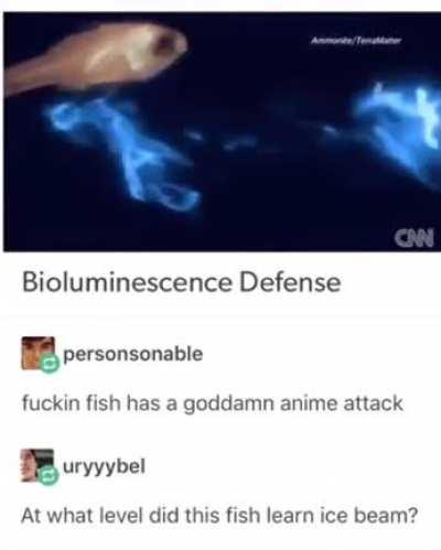 FISH, USE ICE BEAM!