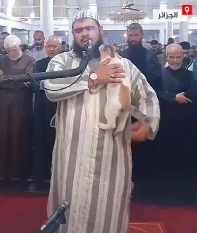 Cat jumps on imam leading Ramadan prayers