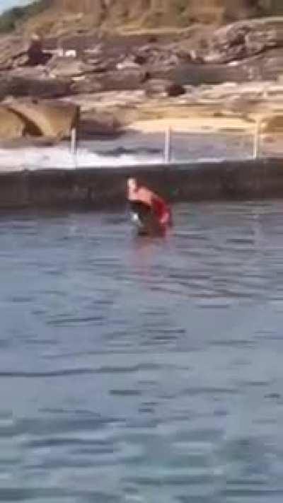 Australian woman picks up shark out of pool and throws it out