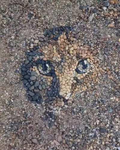 Portrait of a cat out of rocks