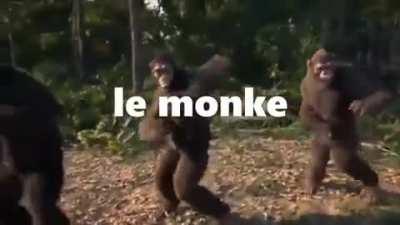 Womg monke dance