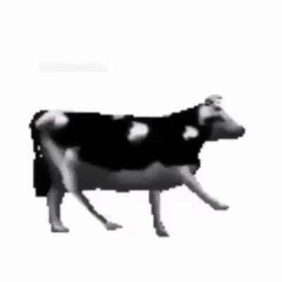 SAPE LA VACA