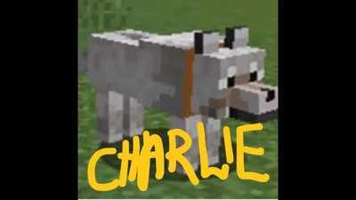 do you liek my song for my mincraft dog