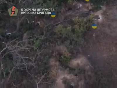 Ukrainian soldiers of the 5th Assault Brigade stormed an enemy position and captured a Russian soldier. Southern direction of Chasiv Yar, late October 2024.