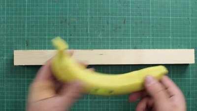 I made a real banana for scale