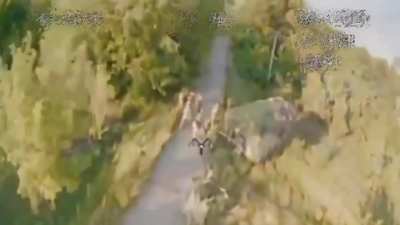 Ukrainian FPV drone targets group of Russian infantry in the Kursk region (September 2024)