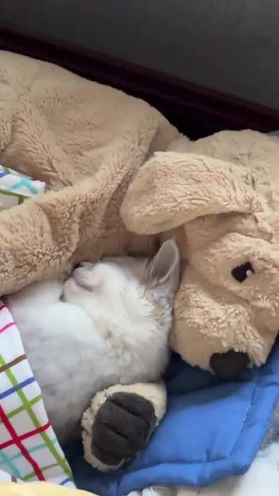 Cuddling up with my plushie