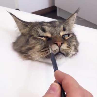 Super Realistic 3D painting of a Cat