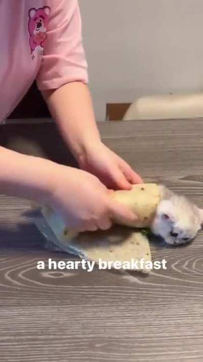 CaT bRuTaLlY tUrNeD iNtO fOoD