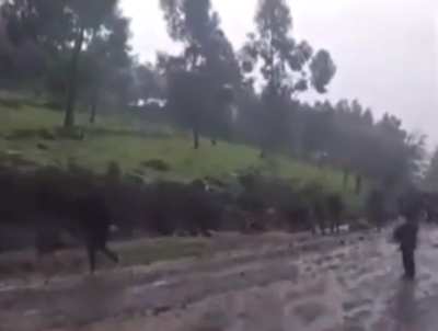 Ethnic Amhara Militia (Fano) Repel an Ethiopian Government Offensive and Advance Positions